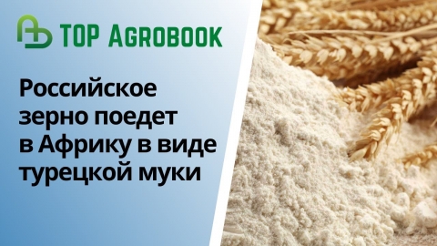 Российское зерно поедет в страны Африки в виде турецкой муки | TOP Agrobook: обзор аграрных новостей