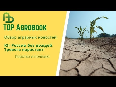 Юг России без дождей. Тревога нарастает. TOP Agrobook: обзор аграрных новостей