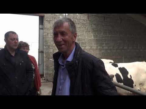 Содержание коров, экскурсия по коровникам. Молочная ферма Виктора Санникова (Ростовская область)
