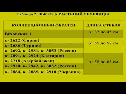 Результаты испытаний различных видов чечевицы в условиях юга России