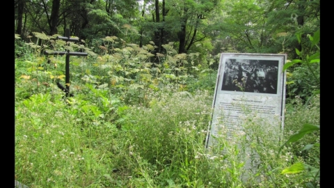«Кубанская Хатынь»: затерянный в лесу и траве посёлок, где фашисты расстреляли 209 человек