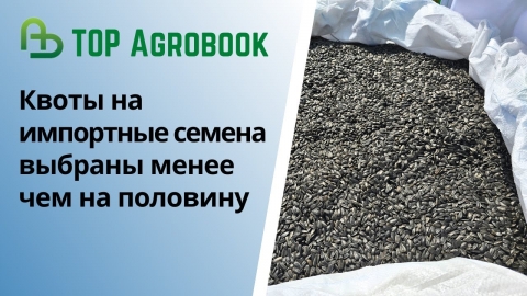 Квоты на импортные семена выбраны менее чем на половину | TOP Agrobook: обзор аграрных новостей