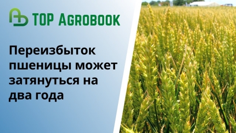 Переизбыток пшеницы может затянуться на два сезона. TOP Agrobook: обзор аграрных новостей