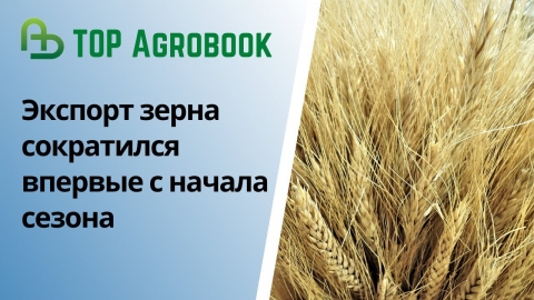 Экспорт зерна сократился впервые с начала сезона | TOP Agrobook: обзор аграрных новостей