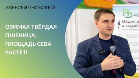 Озимая твёрдая пшеница: площадь сева растёт! | Алексей Яновский - о марже и селекции