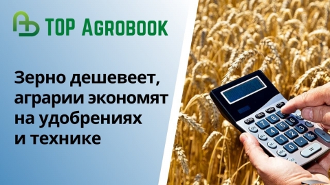 Зерно дешевеет, аграрии экономят на удобрениях и технике. TOP Agrobook: обзор аграрных новостей