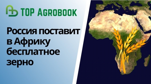 Россия поставит в Африку бесплатное зерно | TOP Agrobook: обзор аграрных новостей
