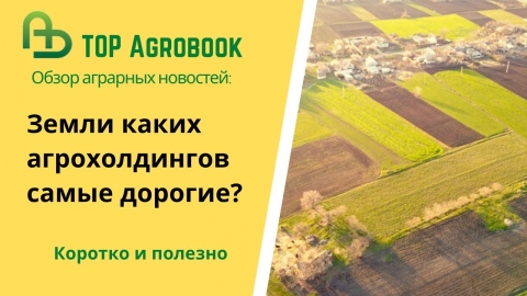Земли каких агрохолдингов самые дорогие? TOP Agrobook: обзор аграрных новостей