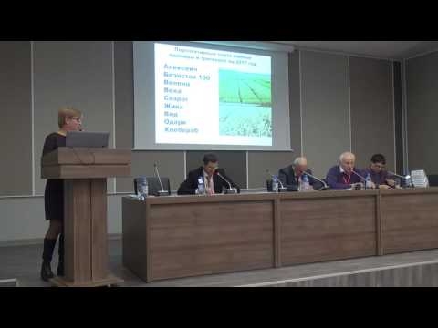 Семеноводство пшеницы в КНИИСХ им. П.П. Лукьяненко