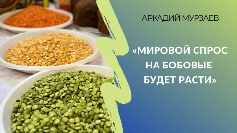 Мировой спрос на бобовые будет расти | Аркадий Мурзаев