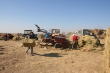 Торговля сеном – важная статья дохода донского фермера-животновода