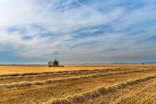 Зерновая сверхдержава: Россия диктует цены на мировом рынке зерна
