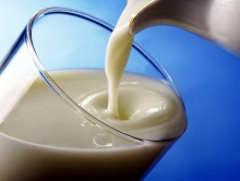Молоко, производство молока