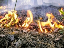 В Забайкалье лесные пожары уничтожили 2 тысячи гектаров леса