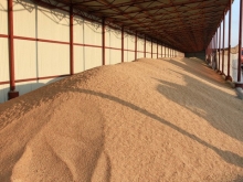 Закупочные цены на пшеницу и ячмень на 09.12.2014 года
