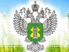 В Красноармейском и Славянском районах Краснодарского края на предприятия наложен карантин из-за амброзии 