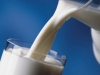 Финские фермеры требуют повысить цены на молоко