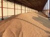 Россия начала безвозмездно поставлять пшеницу в КНДР