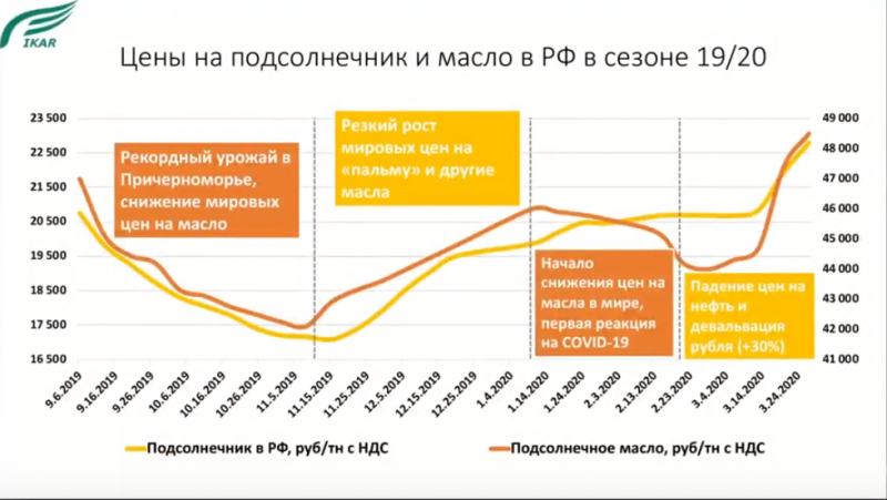 Новости рынка зерна и масличных